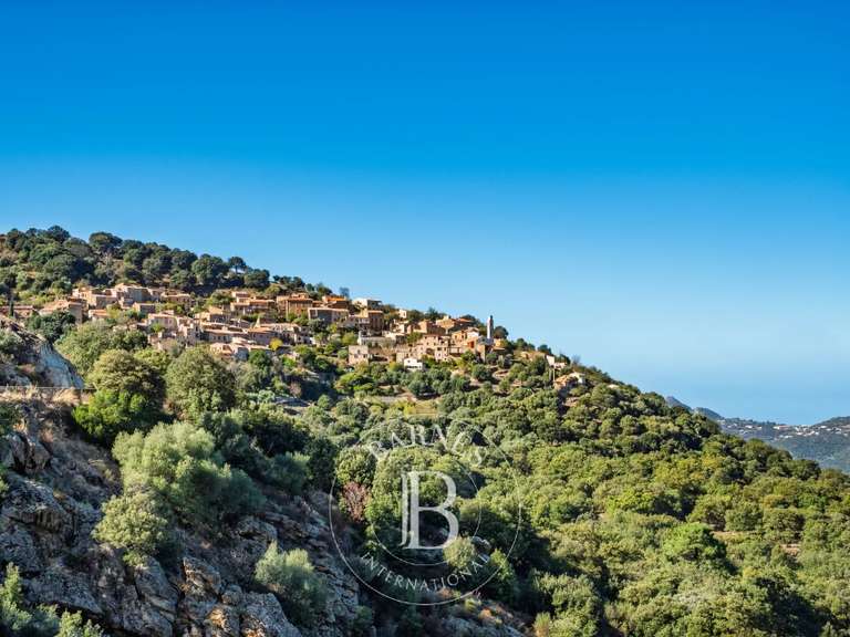 Maison L'Île-Rousse - 239m²