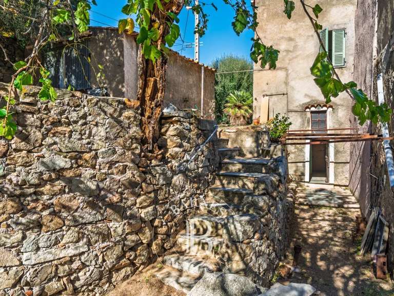 Maison L'Île-Rousse - 239m²