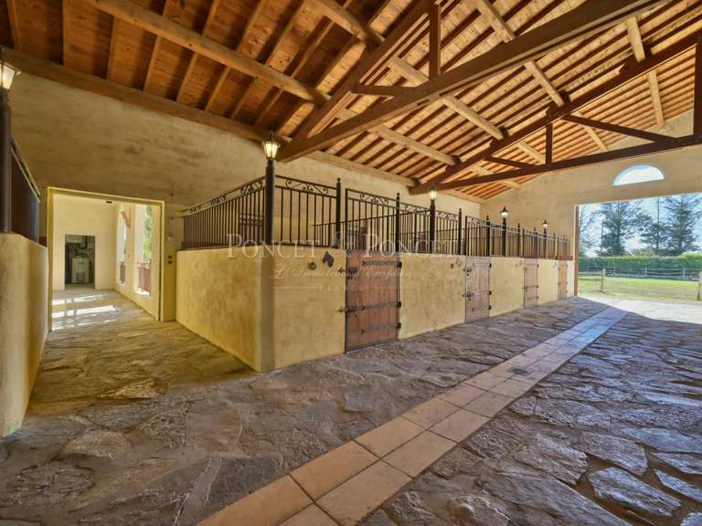 Maison Aigues-Mortes - 5 chambres - 300m²