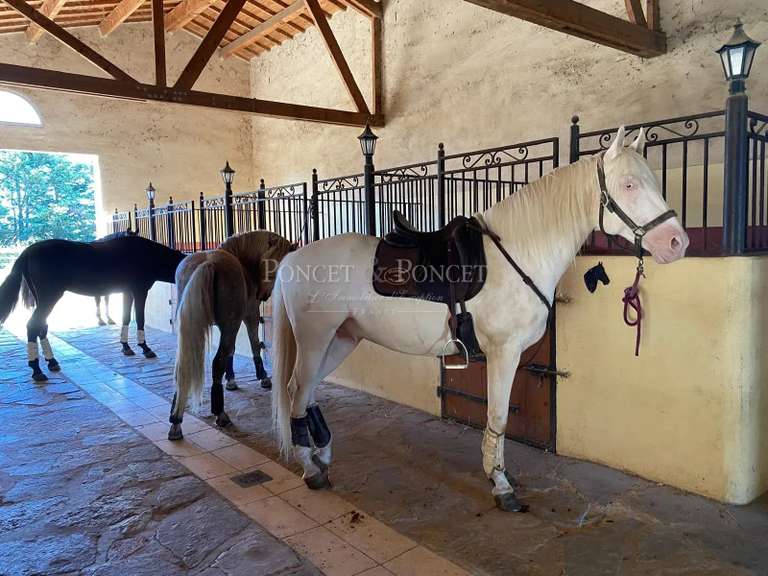 Maison Aigues-Mortes - 5 chambres - 300m²