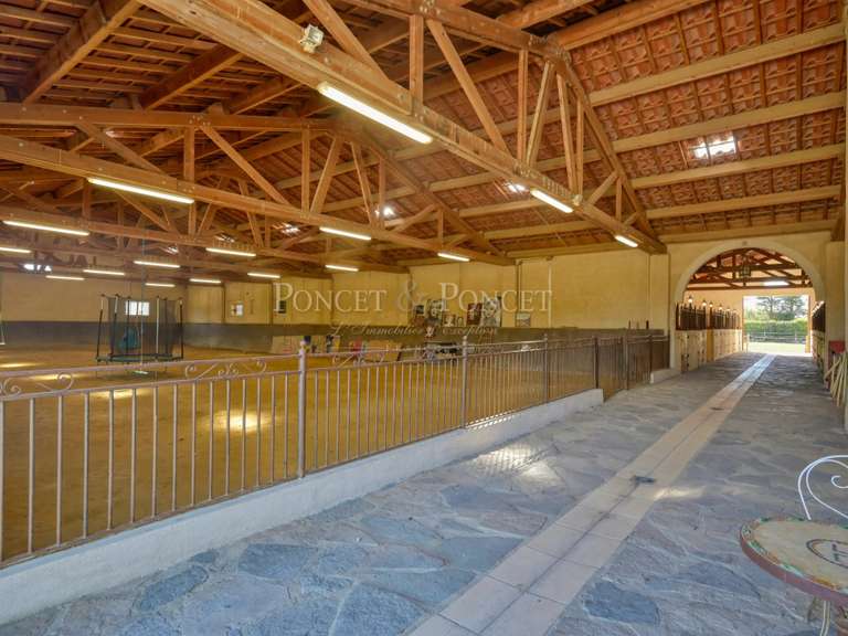 Maison Aigues-Mortes - 5 chambres - 300m²