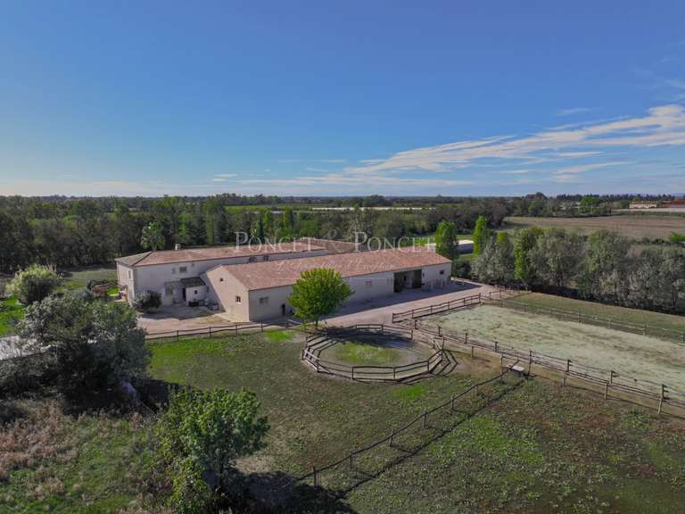 Maison Aigues-Mortes - 5 chambres - 300m²