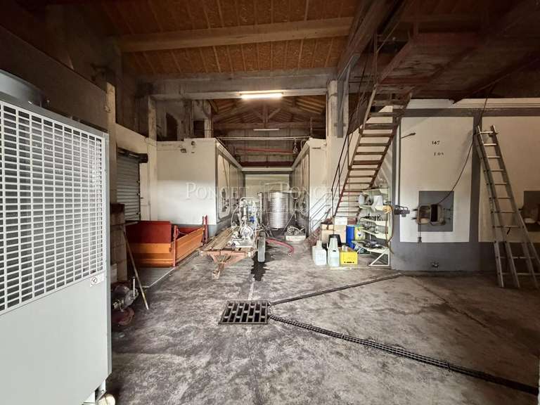 Maison Puichéric - 7 chambres - 524m²