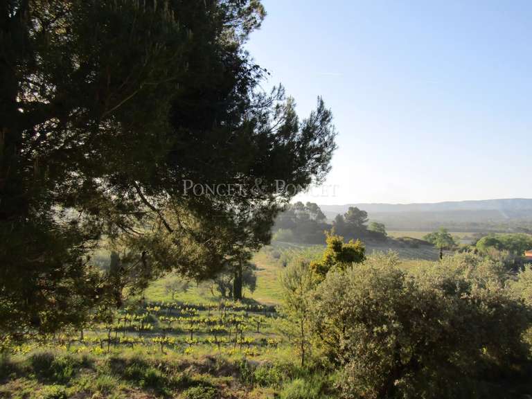 Maison Vacqueyras - 350m²