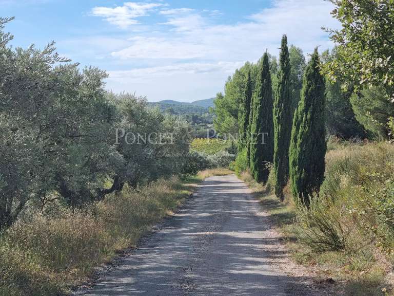 Maison Vacqueyras - 350m²