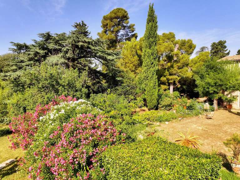 Maison Montpellier - 6 chambres - 700m²