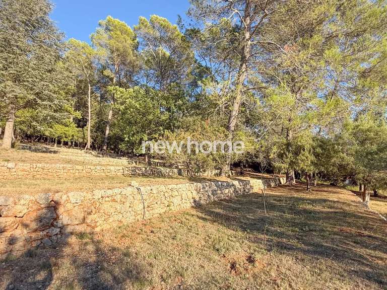 Maison Lorgues - 3 chambres - 210m²