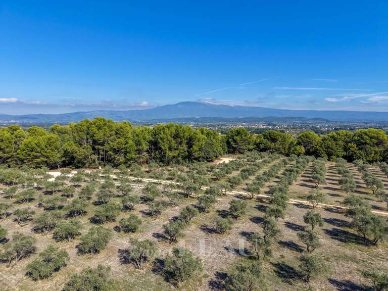 Maison Mazan - 9 chambres - 490m²