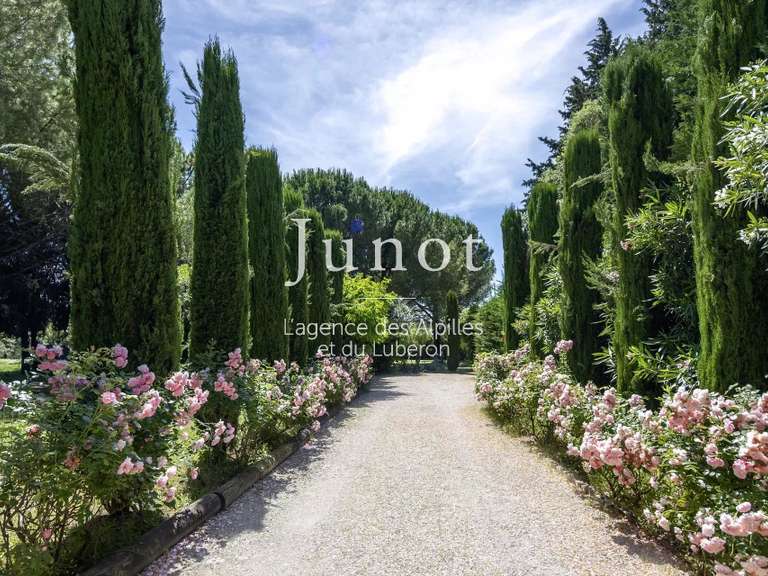Maison Saint-Rémy-de-Provence - 5 chambres - 255m²