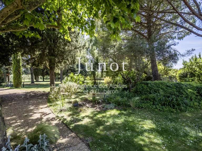 Maison Saint-Rémy-de-Provence - 5 chambres - 255m²