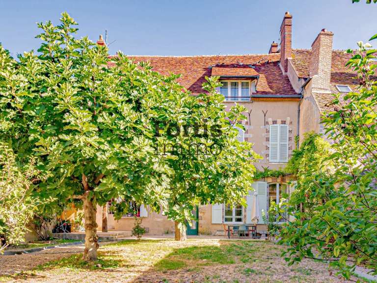 Maison Villeneuve-sur-Yonne - 522m²