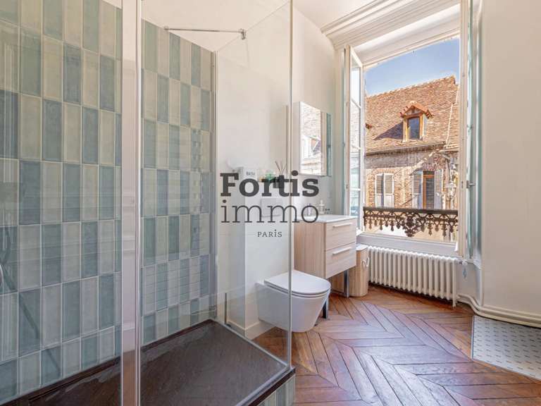 Maison Villeneuve-sur-Yonne - 522m²