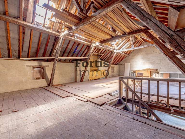 Maison Villeneuve-sur-Yonne - 522m²