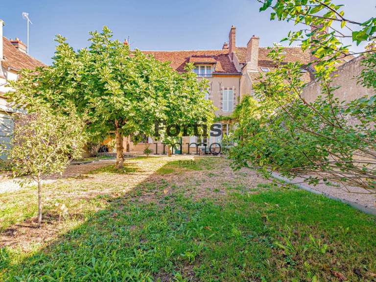 Maison Villeneuve-sur-Yonne - 522m²