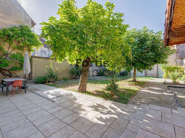 Maison Villeneuve-sur-Yonne - 522m²