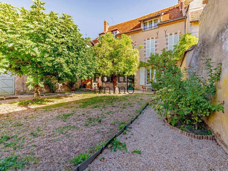 Maison Villeneuve-sur-Yonne - 522m²