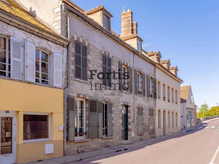 Maison Villeneuve-sur-Yonne - 522m²