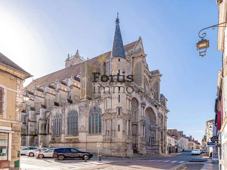 Maison Villeneuve-sur-Yonne - 522m²