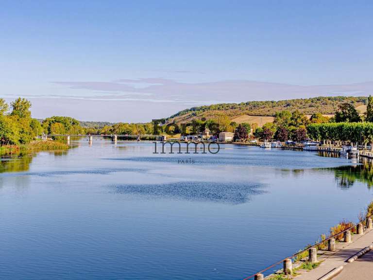 Maison Villeneuve-sur-Yonne - 522m²