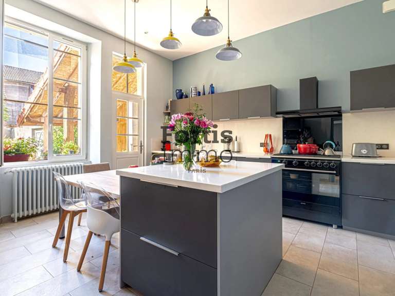 Maison Villeneuve-sur-Yonne - 522m²