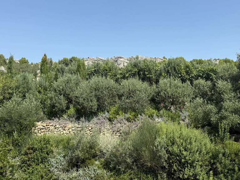 Maison Paradou - 240m²