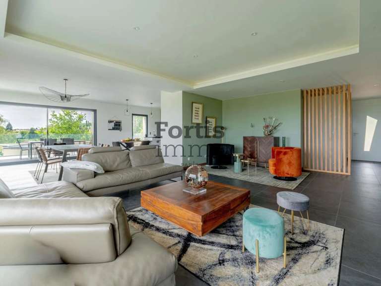 Maison Verrières-le-Buisson - 6 chambres - 339m²