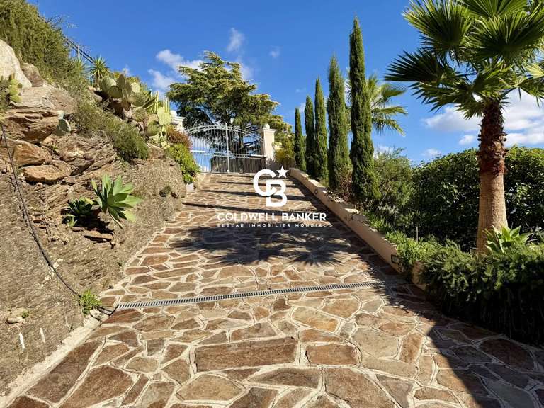Maison Cavalaire-sur-Mer - 6 chambres - 255m²