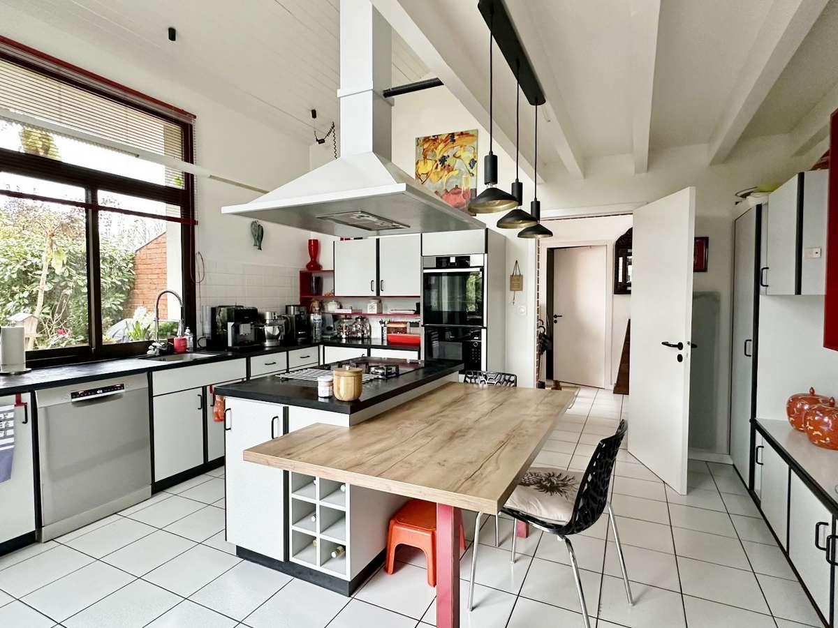 House Dax