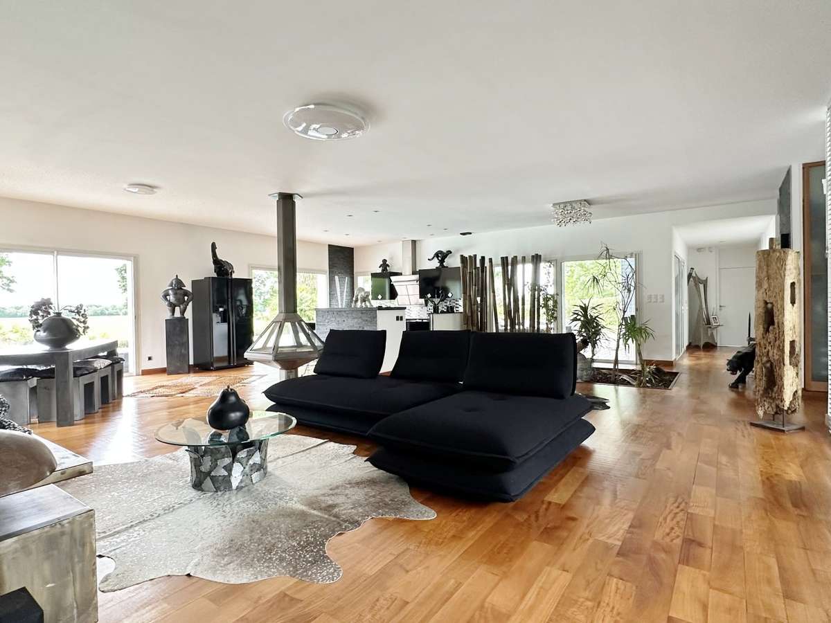 House Dax