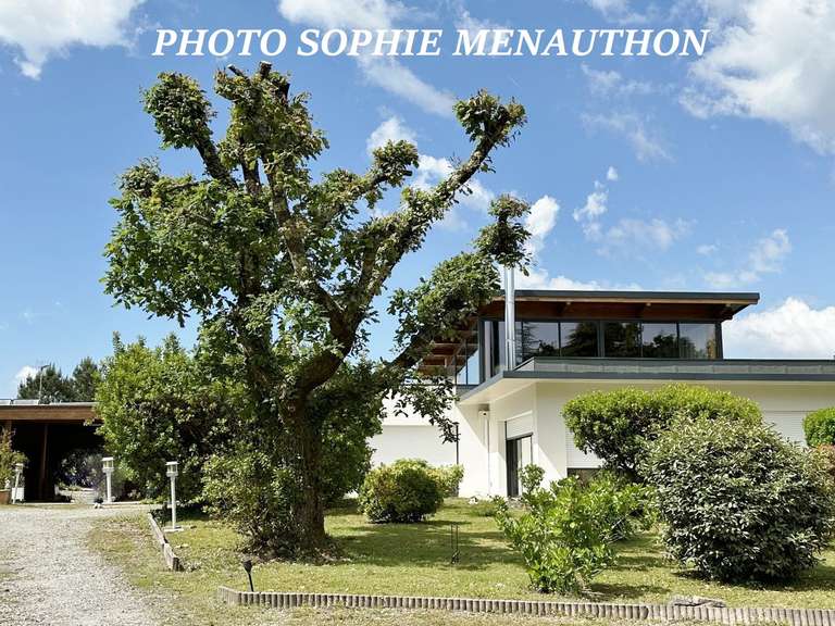House Dax - 4 bedrooms - 270m²