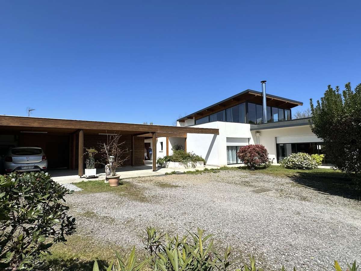 House Dax