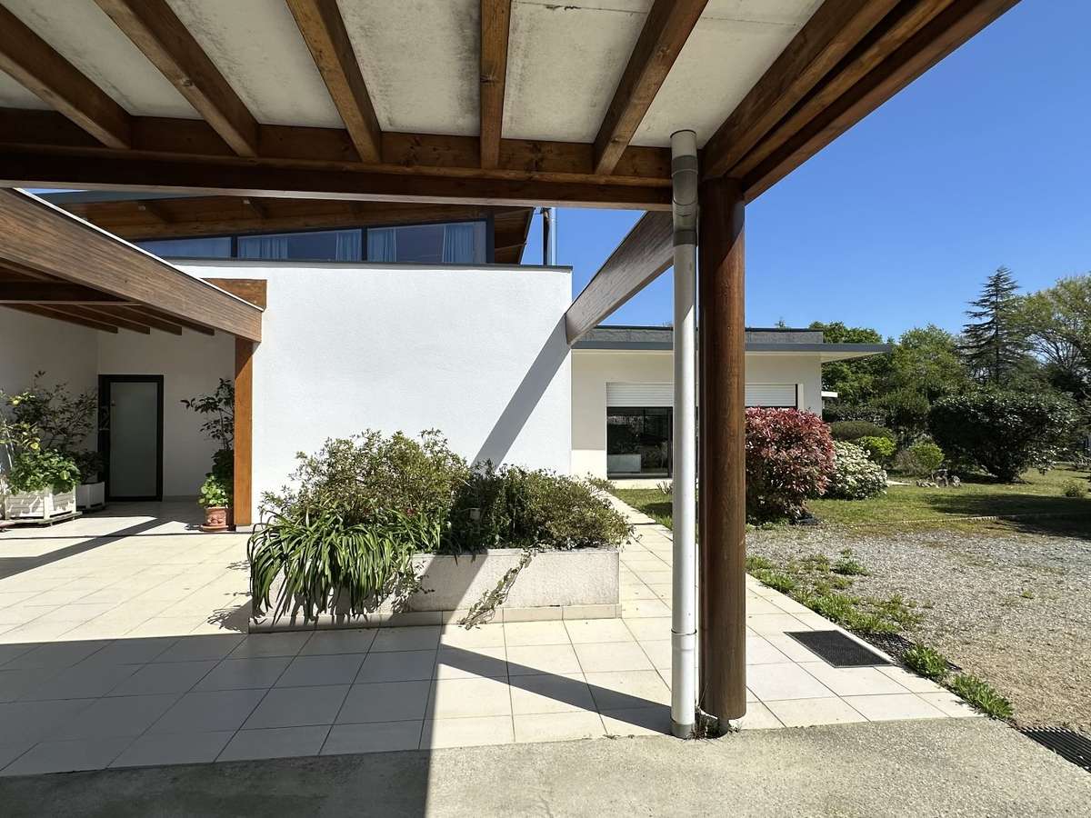 House Dax