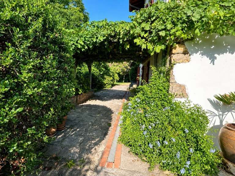 Maison Urt - 7 chambres - 310m²
