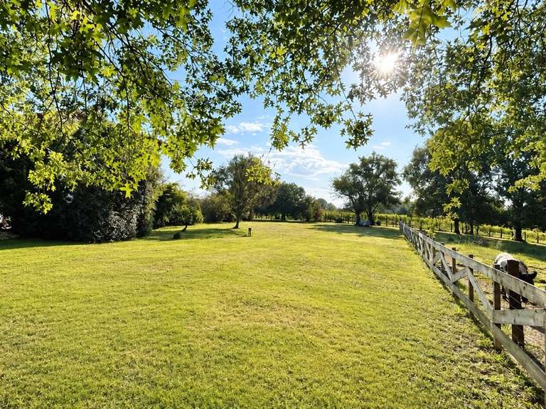 Maison Bayonne - 7 chambres - 310m²