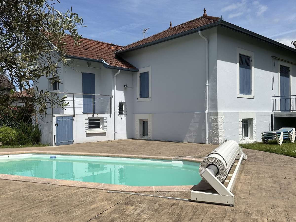 House Dax