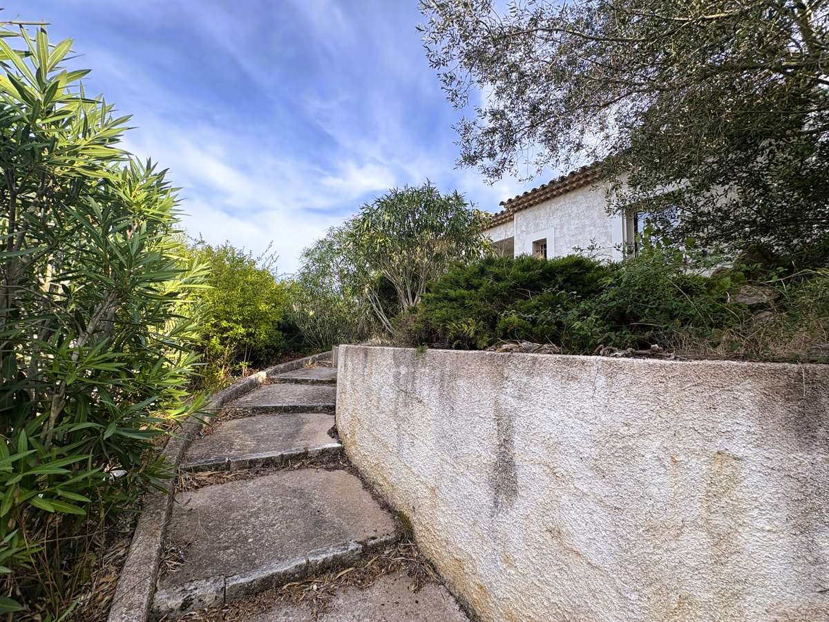 House Bonifacio