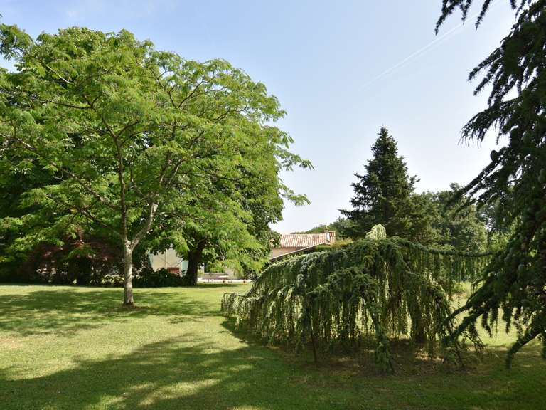 Maison Tournon-d'Agenais - 7 chambres - 360m²