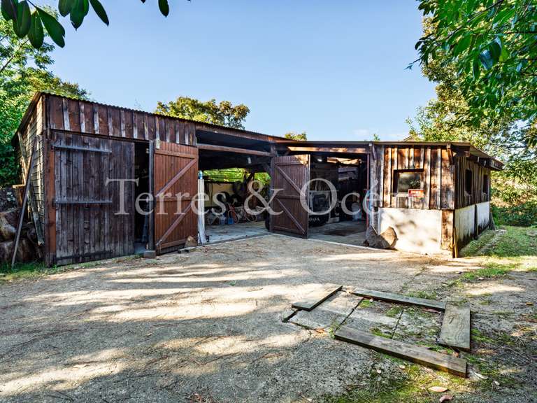 Maison Capbreton - 5 chambres