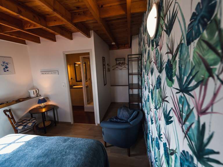 Maison Olloix - 12 chambres