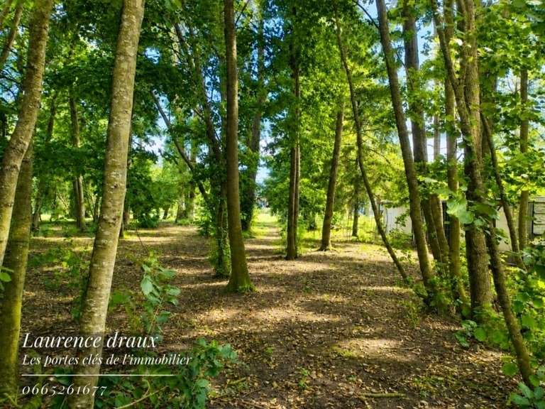Maison Thun-Saint-Martin - 4 chambres - 200m²