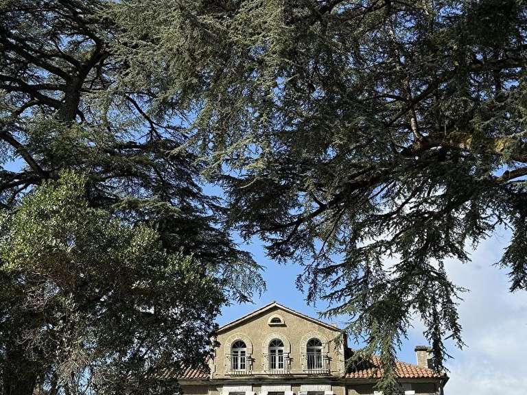 Maison Castelnau-d'Auzan - 7 chambres - 394m²
