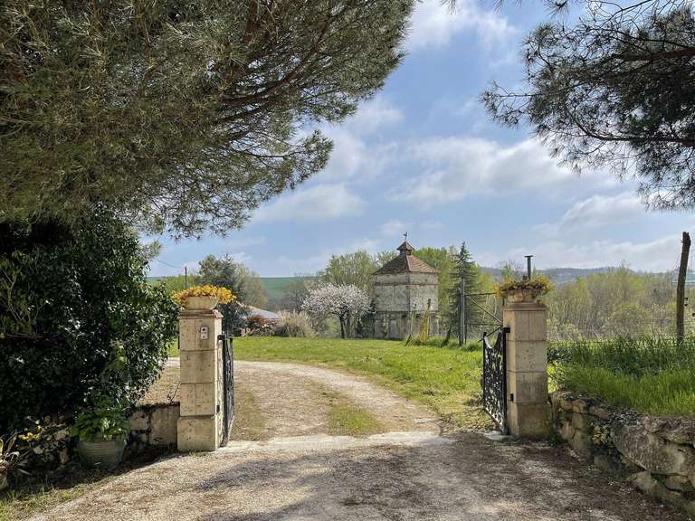 Maison Astaffort - 8 chambres - 350m²