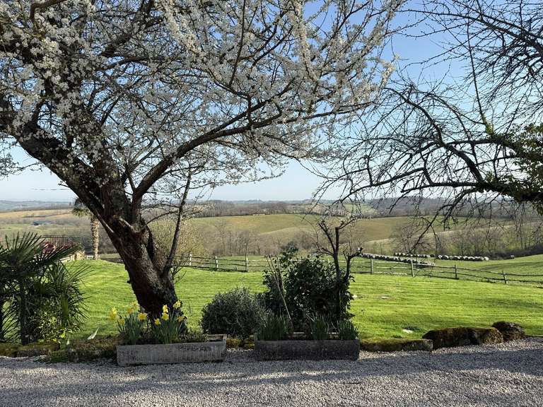 Maison Aignan - 6 chambres - 512m²