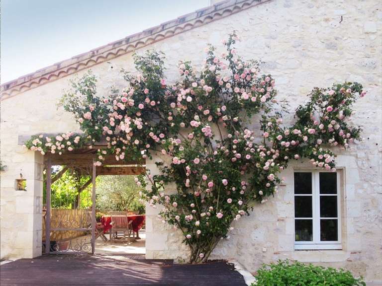 Maison Saint-Mézard - 5 chambres - 321m²