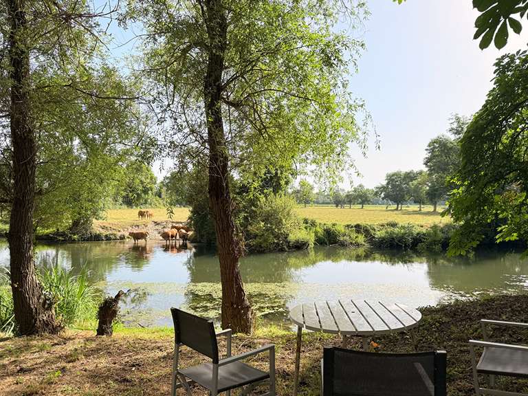 Maison Aubeterre-sur-Dronne - 8 chambres - 221m²