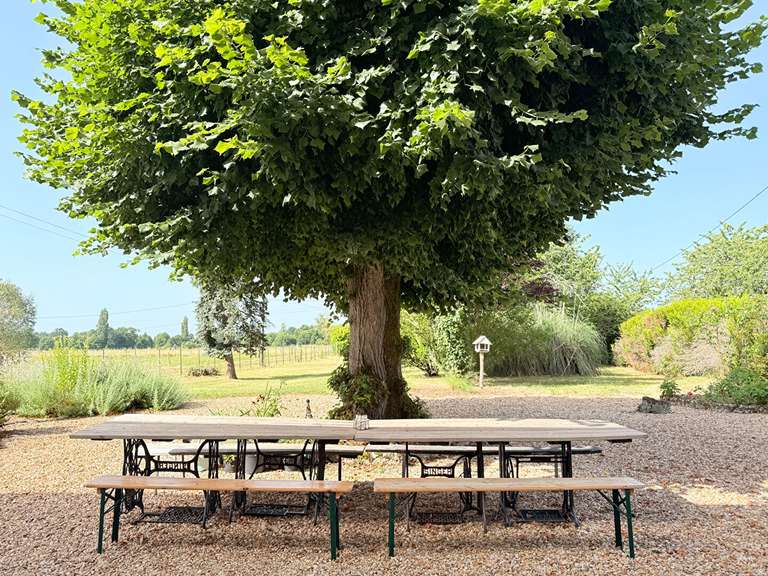 Maison Aubeterre-sur-Dronne - 8 chambres - 221m²