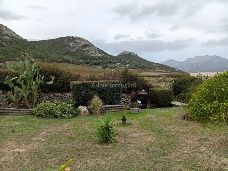 Maison Calenzana - 3 chambres - 98m²