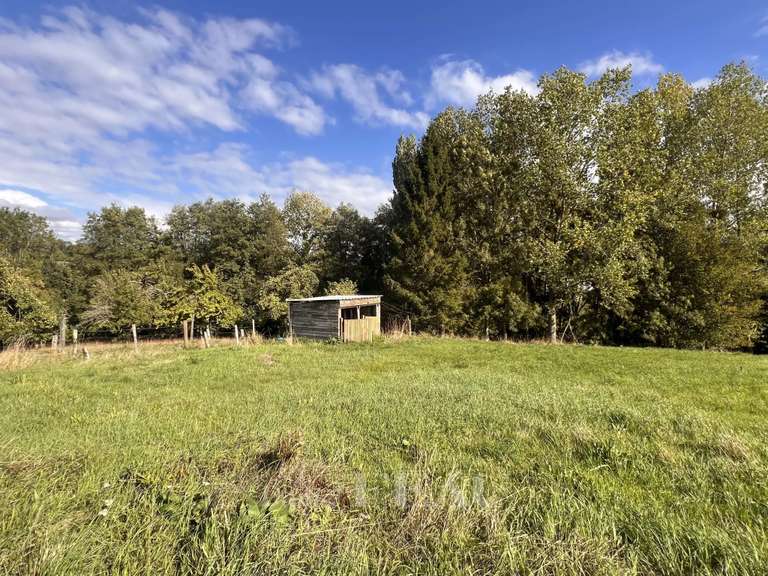 Maison Bonneville-la-Louvet - 5 chambres - 280m²