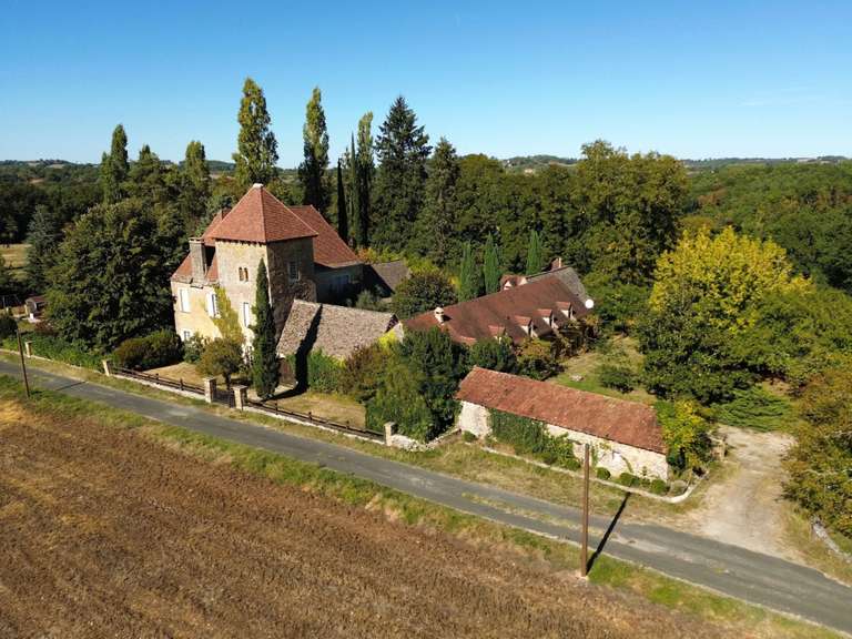 Maison Sarlat-la-Canéda - 9 chambres - 482m²