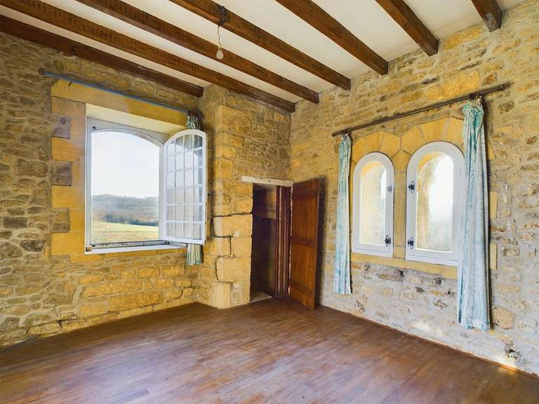 Maison Sarlat-la-Canéda - 9 chambres - 482m²